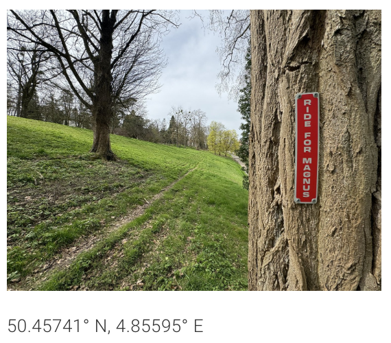 Ride For Magnus Plaque