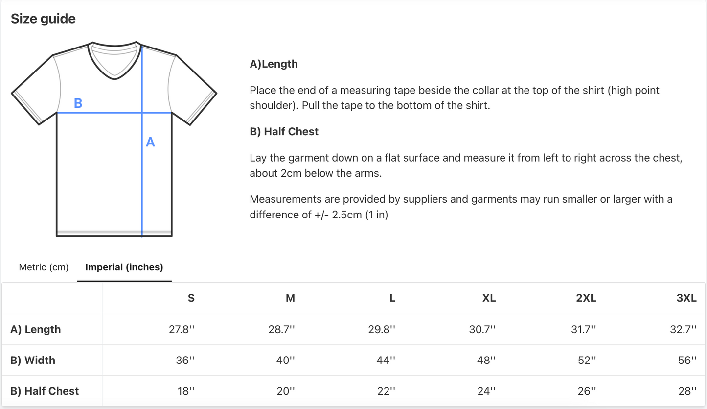 Black V-Neck T-shirt (unisex)